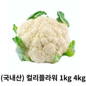 콜리플라워 1kg 2kg 4kg 국내산 산지직송 컬리플라워 생콜리플라워 칼리플라워 하얀꽃양배추 슈퍼푸드 볶음 조림 튀김용, 1박스