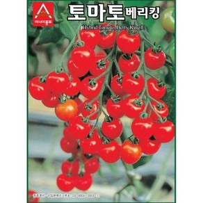 A-토마토-베리킹 50립 채소 종자, 1개