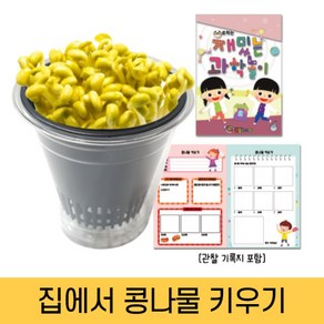 콩나물재배기 콩나물 키우기세트 관찰기록지 포함, 1개