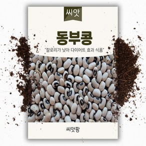 동부콩씨앗 (30g) 파종용, 1개