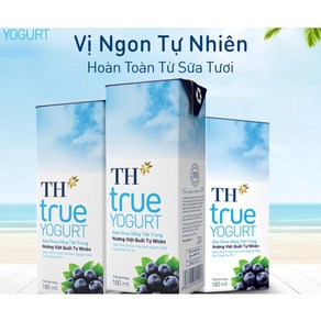 TH TRUE YOGURT 블루베리맛/베트남 요거트, 180ml, 4개, 180ml