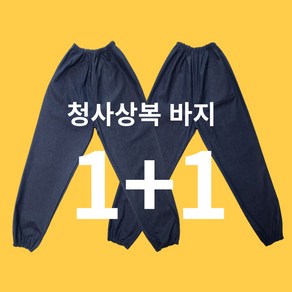 <공구파는언니> 청피스복 청사상복 바지 1+1 (2벌) 면피스복 작업복 도장복하의, 청사상복바지(2벌)L, 1개, 청지