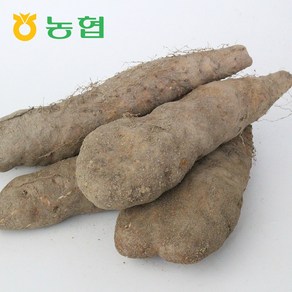 북안동농협 국산 안동 산마(특) 3kg/5kg, 산마 (특)3kg