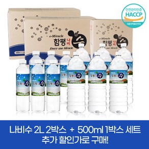 몸이 좋아지는 함평 나비수 신상품 2L 2박스 + 500ml 1박스 세트, 1세트