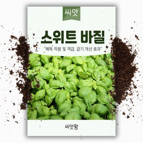 스위트 바질씨앗 바실 (2000립) Sweet Basil 바질키우기, 1개