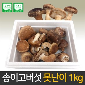 송이고버섯 B급 못난이 버섯 1kg 당일수확 생산자직송