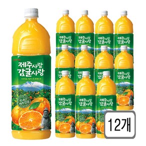 롯데칠성음료 롯데 제주사랑 감귤사랑, 12개, 1.5L