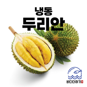 냉동 두리안 500g 열대과일 천상의과일, 1개