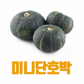 [산지직송] 국내산 미니단호박 밤 단호박 보우짱 달콤, 1박스, 미니단호박 2kg