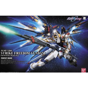 반다이 PG 스트라이크 프리덤 건담 ZGMF-X20A Strike FreeDom GUNDAM 스리덤 1/60