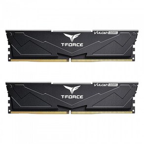 TeamGroup T-Force DDR5-6000 CL38 Vulcan Black 패키지 (64GB(32Gx2))