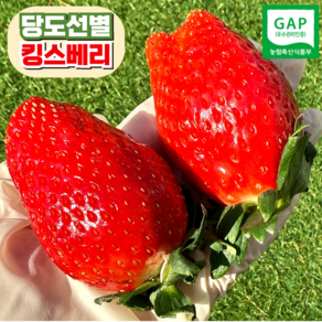 [프리미엄] 킹스베리 딸기 논산 농장직송, 1개, 왕특 1팩(400g) 8-9과