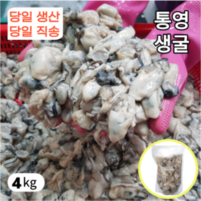 1급청정해수 통영 생 굴 산지직송, 1박스, 4kg