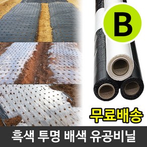 농업용 유공 멀칭비닐 밭비닐 고추 마늘 양파 감자 비닐, 마늘 0.02 x 150 x 200(10구), 흑색, 1개