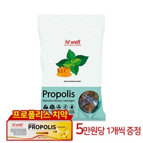 하이웰 프로폴리스 민트&마누카허니 캔디 200g, 1개