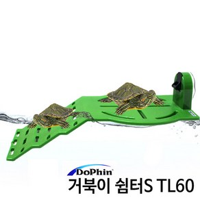 KW 도핀 거북이매트 TL60 쉼터 거북이 육지 계단 휴식처 놀이터 휴게소 섬, 1개