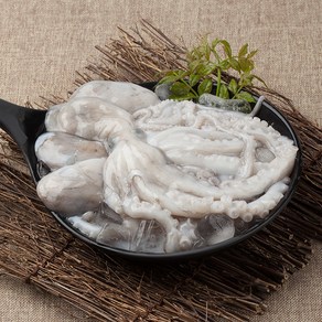 닥터쭈 자연산 제철 손질 냉동 낙지 5인분, 2개, 400g