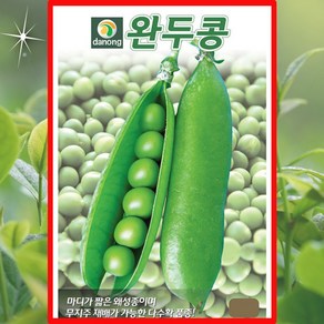 완두콩 50g 마디가 짧은 왜성종이며 무지주 재배가 가능한 다수확 품종 완두콩씨앗, 1개