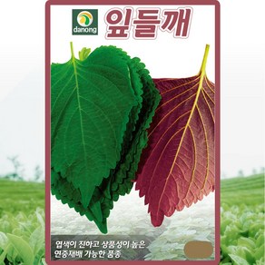 다농 잎들깨 씨앗 10g 연중재배 깻잎 들깨씨 종자, 1개