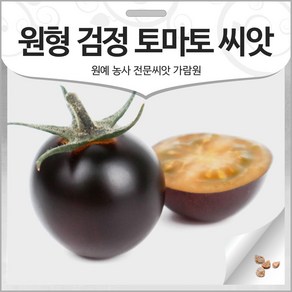 원형 검정 토마토 씨앗 방울 토마토 인디고 종자 10알, 1개