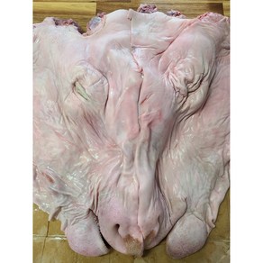 한우암소머리 반두(5~7kg) 100%국내산 한우 암소머리( 발골) 깨끗한 손질, 1개, 5kg