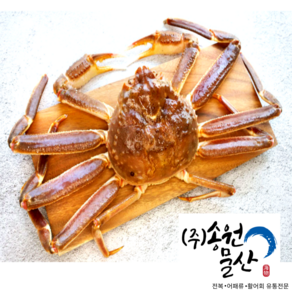 [송원물산] 수율 90%이상 보장 특A급 프리미엄 러시아 자숙대게 1kg, 1개, 세마리