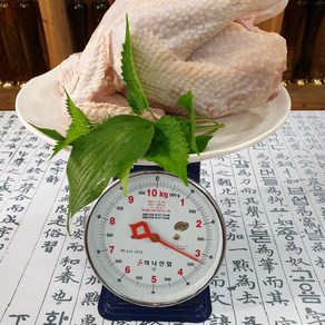 산약초이야기 토종닭백숙 장닭 숫닭 토종닭 2kg 산양산삼세트