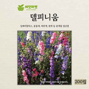 다농 델피니움 혼색 씨앗 200립, 1개