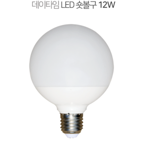 데이타임 LED 숏타입 볼전구 G95 12W 20개입, 주광색, 20개