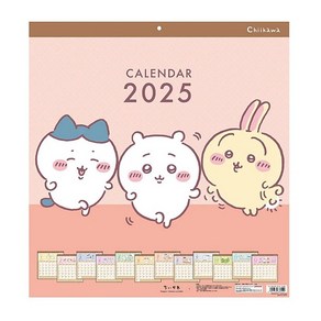 치이카와 2025년 벽걸이 달력 캘린더 먼작귀