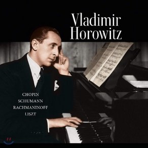 [LP] Vladimir Horowitz 블라디미르 호로비츠 피아노 독주집 - 쇼팽 슈만 라흐마니노프 리스트 [LP]