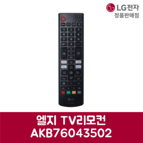 LG전자 엘지 정품 TV 리모컨 AKB76043502, 1개