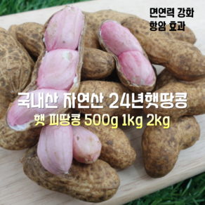 [산지직송] 국내산 자연산 경북 예천 24년 햇땅콩 피땅콩 500g 1000g 1박스