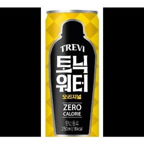 트레비토닉워터오리지널(캔) 롯데 250ML x 30EA, 30개