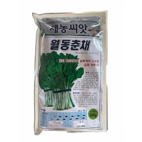 대용량 월동춘채 하루나 씨앗 500g 겨울초씨앗, 1개