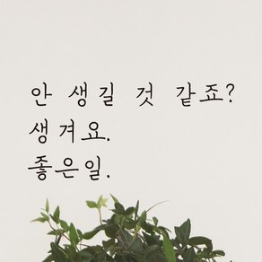 모노먼트 손글씨 감성 레터링 스티커 - 안 생길 것 같죠 생겨요 좋은일