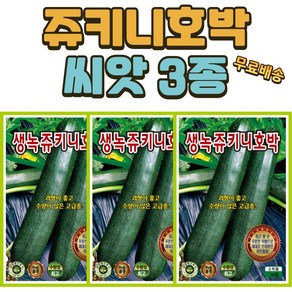 쥬키니 호박씨앗 3개(10립x3) 과형이 좋고 수량성 많은 호박씨, 3개