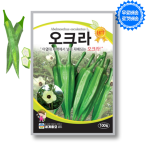 오크라 씨앗 oka seed 오크라 씨 종자 레이디핑거, 1개