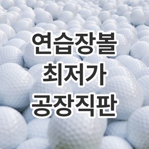 판매율1위 신제품 300개 레인지볼 연습장 골프공 스크린볼 새골프공 고퀄리티, A+