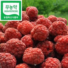 국산 무농약 꾸지뽕 열매(냉동) 5kg, 1개