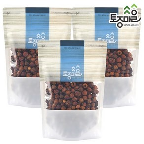 [토종마을] 자연산국산 산사 300g 한차, 3개