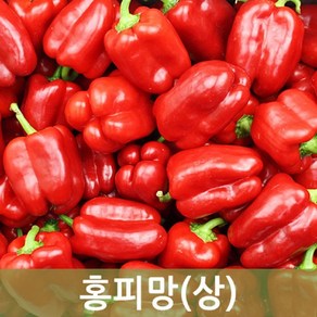 홍피망(상) 10kg 5kg 빨강피망 사이즈 다양 두리반농산, 2kg, 1개