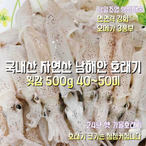 [산지직송] 국내산 자연산 남해안 새벽에조업한 호래기 (횟감) 500g 40~50미 1박스