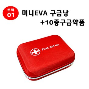 우리집 안전 지킴이 바이오플러스 구급낭 구급가방 응급키트 구급함 구급상자, 01.미니EVA구급낭+10종구급약품, 1개