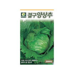 (DN) 결구양상추 씨앗(2000립)