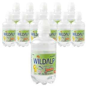 와일드알프 주니어 워터, 250ml, 12개