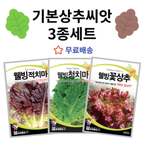 주주씨앗 기본 상추 씨앗 3종세트 웰빙 적치마 청치마 꽃상추 종자 상추씨 쌈채소