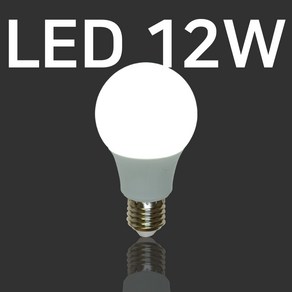 포커스 LED 램프 PC벌브 12W, 1개, 주광색