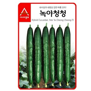 A-오이-녹야청청 40립 채소 종자, 1개