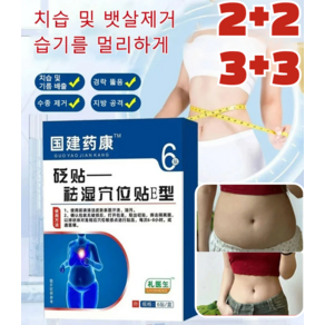 2+2/3+3 [즉효] 한방 허브 디톡스 패치 치습 혈자리 패치 다이어트 습기 제거 패치